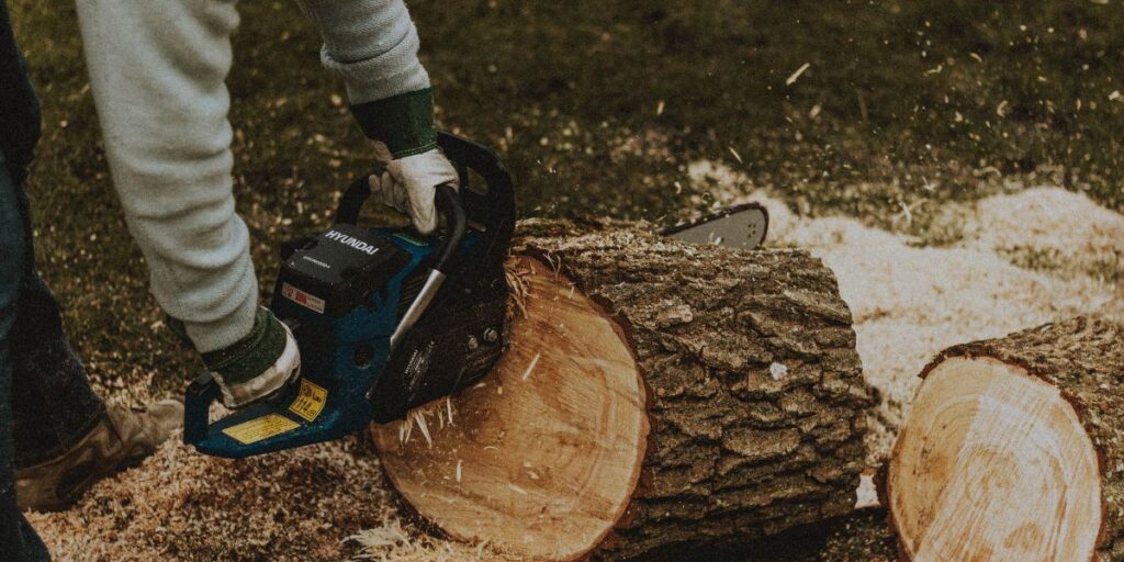 Thornton Tree Service Experts
